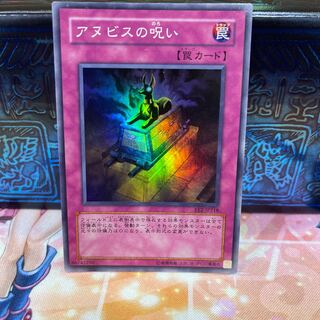 No.798 P屋　アヌビスの呪い 【スー】