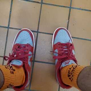 ネバダダンク 27.5cm