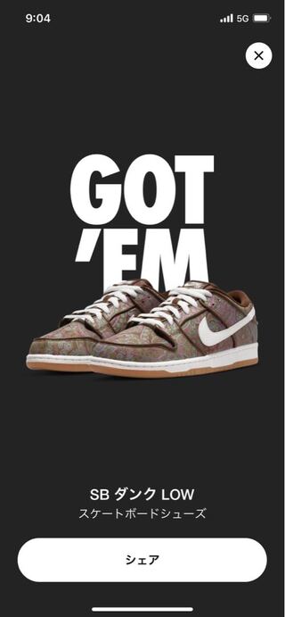 NIKE SB DUNK low  28cm