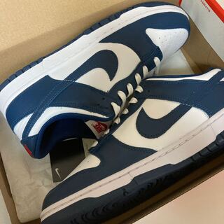 【28cm】ナイキ ダンク ロー "バレリアンブルー" 28cm