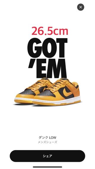 ナイキ ダンク ロー "チャンピオンシップ ゴールデンロッド" 26.5cm