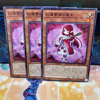 No.819 P shop Ruddy Rose Witch [no