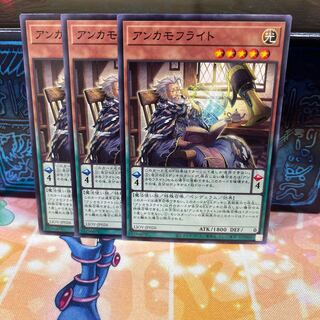 No.825 P shop Anchamoufrite [no