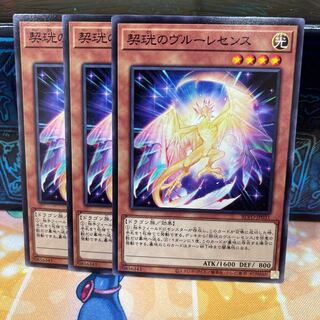 No.835 P屋　契珖のヴルーレセンス 【ノー】