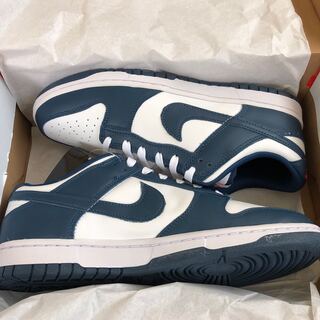 ナイキ ダンク ロー "バレリアンブルー" 28cm