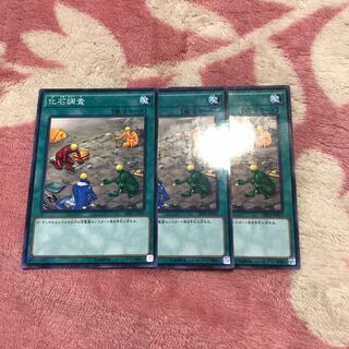 化石調査 3枚セット ノーパラ