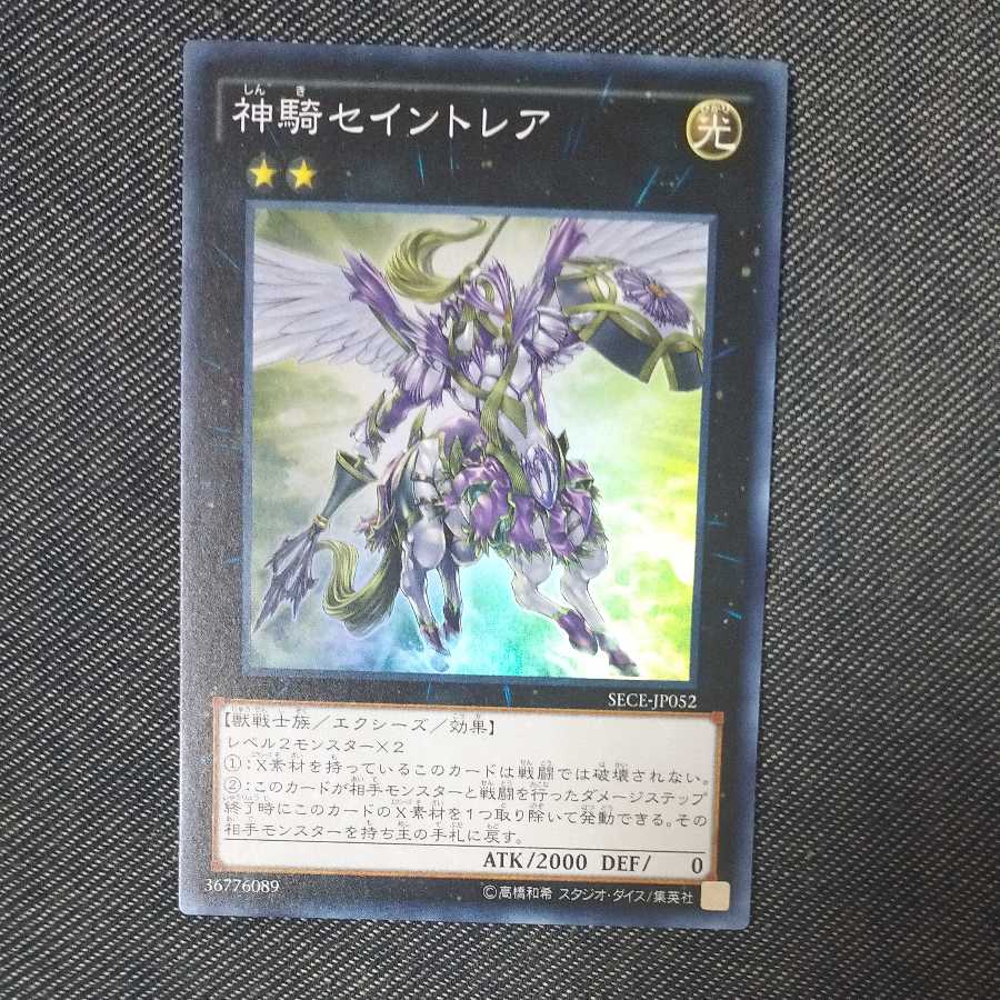 Sky Cavalry Centaurea