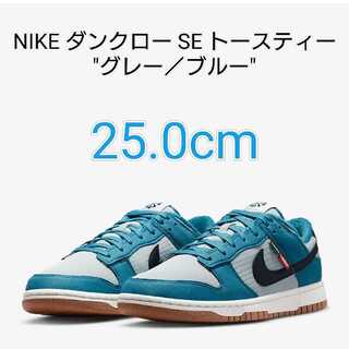 ナイキ ダンク ロー レトロ Nn "トースティー" DD3358-400 25cm