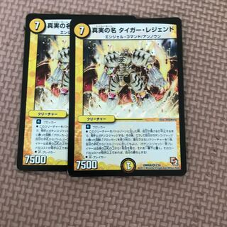 The True Name Tiger Legend VR 2/55