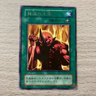 【枠ズレ＆振り仮名ズレ】体温の上昇 字レア エラーカード