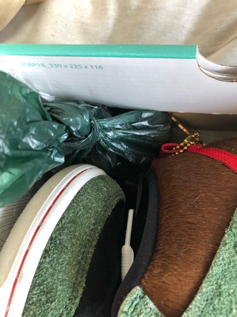 ナイキSB ダンク ハイ プロ QS ドッグウォーカー BQ6827-300 26.5cm