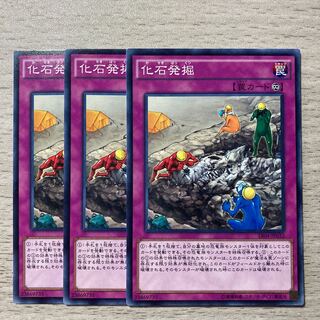 Special Price] Fossil Excavation Normal 3pcs.