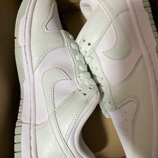 ナイキ ウィメンズ ダンク ロー ネクスト ネイチャー "ホワイト/ミント" 23cm