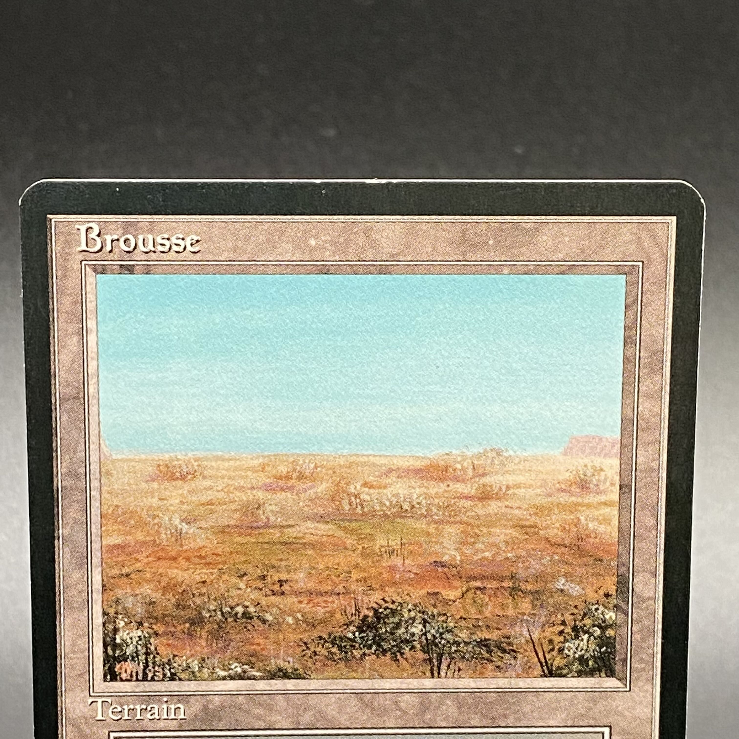 Scrubland/Brousse 3ED フランス語 1枚