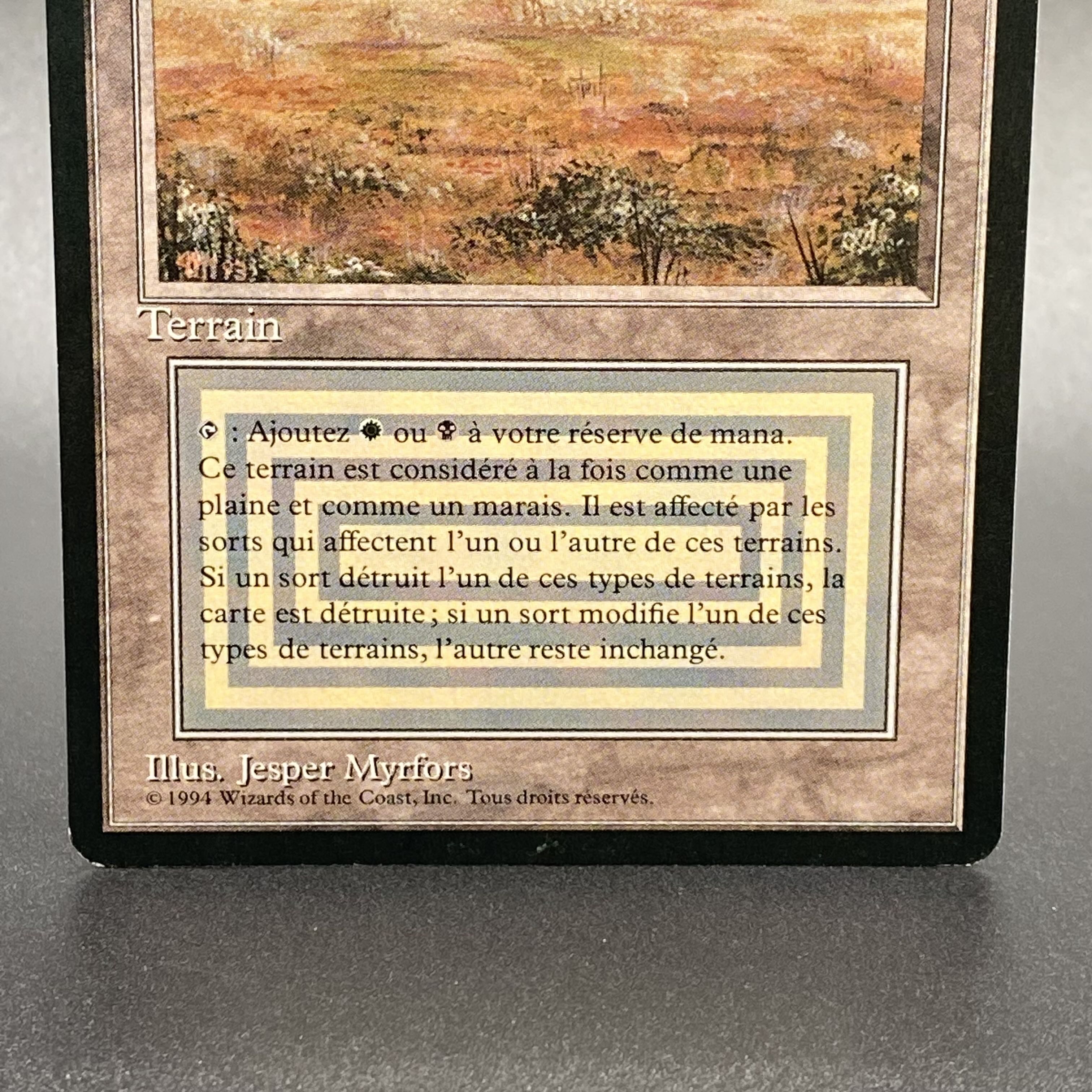 Scrubland/Brousse 3ED フランス語 1枚