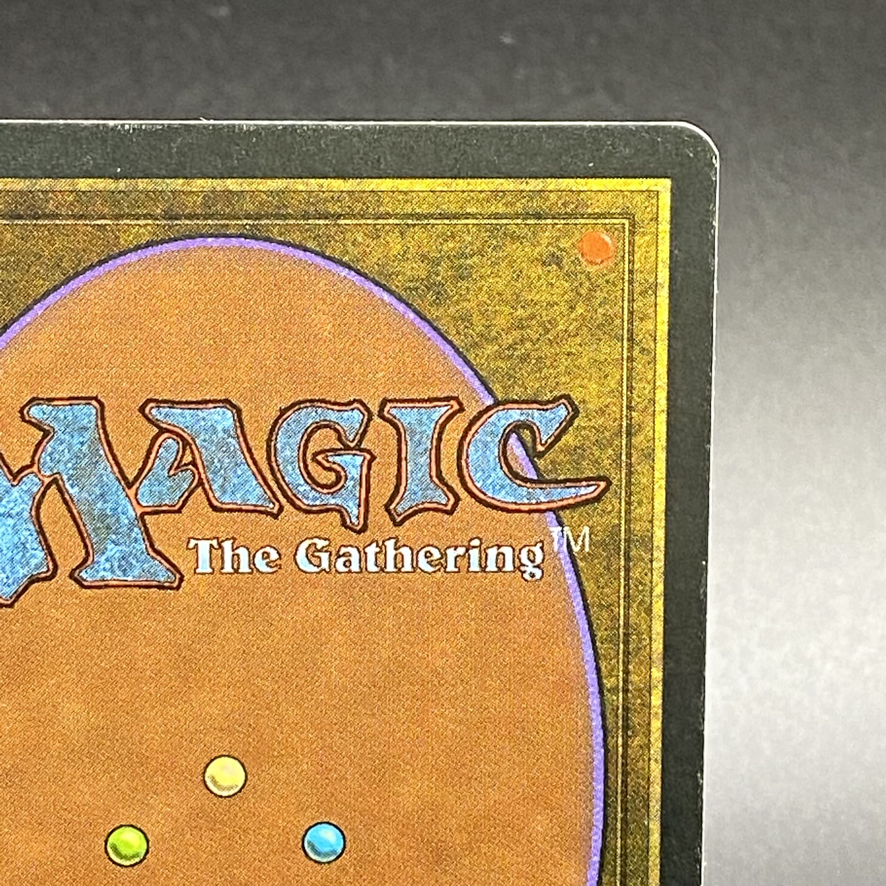 Scrubland/Brousse 3ED フランス語 1枚