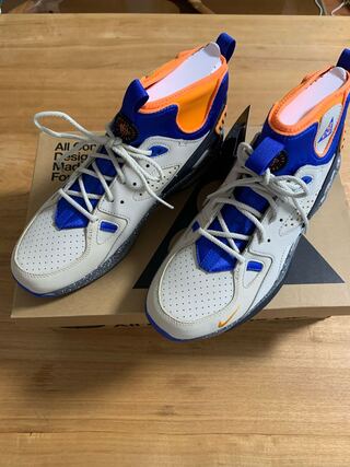 NIKE ACG エア　モワブ 28.5cm