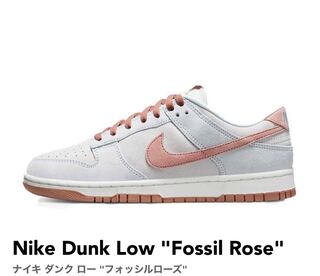 ナイキ ダンク ロー "フォッシルローズ" DH7577-001 26.5cm