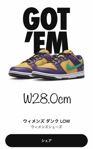 【値下げ】ナイキ ウィメンズ ダンク ロー "リサ レスリー" DO9581-500 28cm