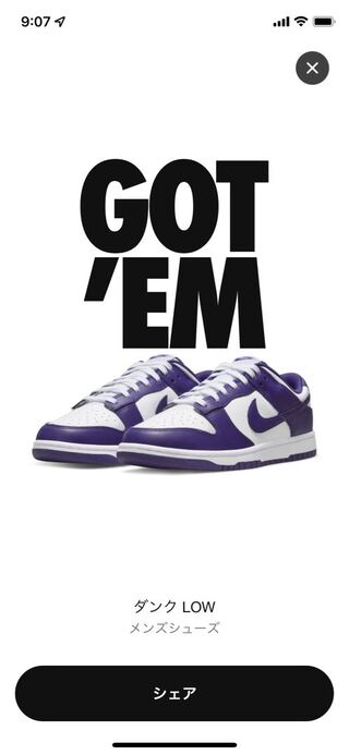 Nike Dunk Low "Championship Court Purple" 27.5cm 27.5cm