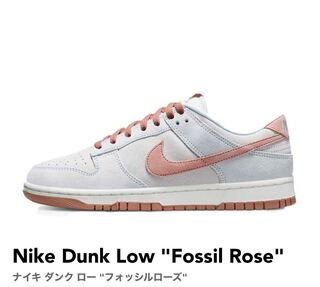 Nike Dunk Low "Fossil Rose"27 27cm