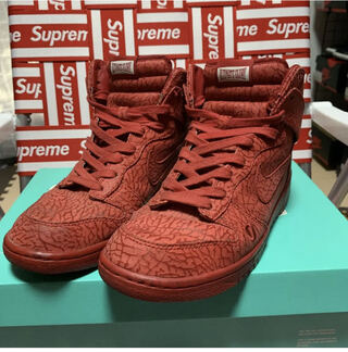 ナイキ ダンク ハイ プレミアム "アルティメット グローリー" 323955-661 27cm