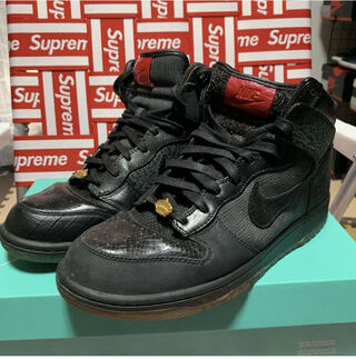 NIKE DUNK HIGH PREMIUM QS "MIGHTY CROWN" 29cm