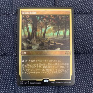日)禁忌の果樹園 / Forbidden Orchard【CHK】 【Foil】 No.276