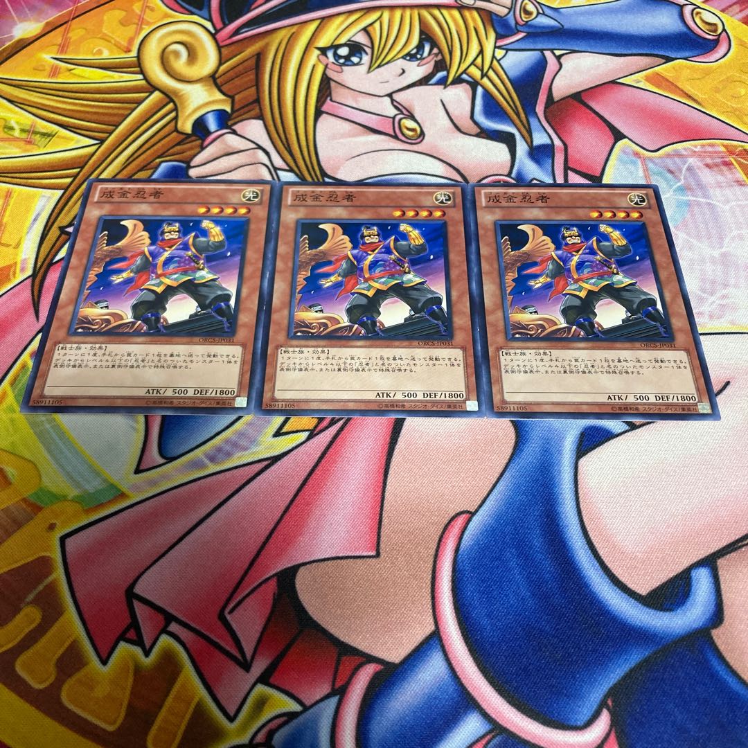 成金忍者 ノーマル JP031