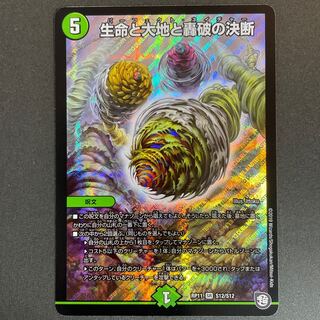 Wounded Life Life, Earth and Roaring Decision SR S12/S12