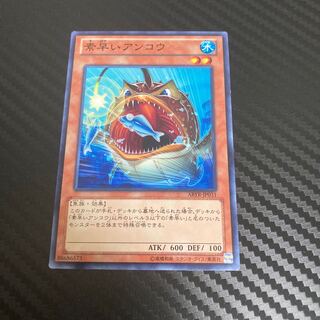 Nimble Angler Normal 2