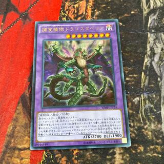 Predaplant Dragostapelia Ultra Rare JP124