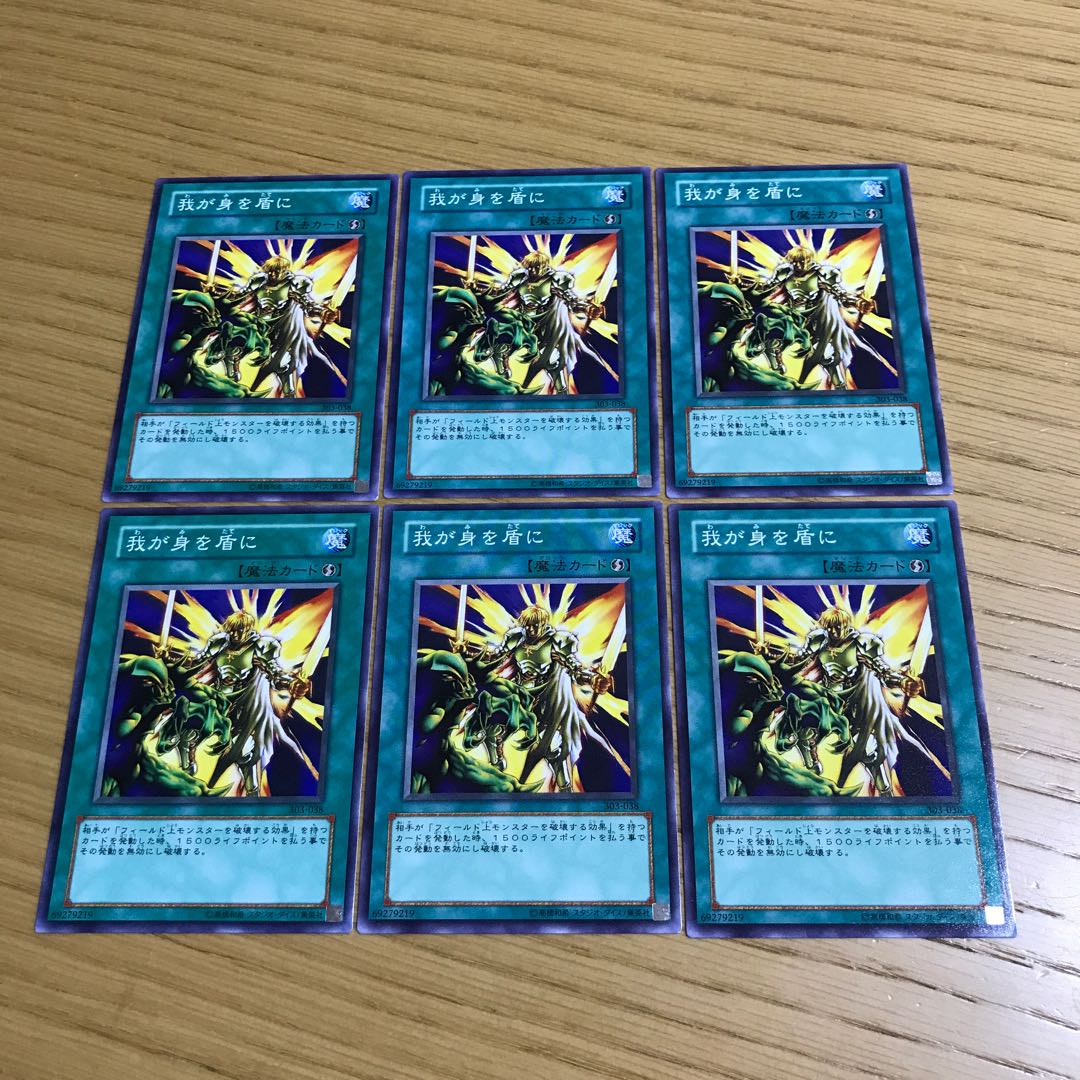 My Body as a Shield 6-piece set