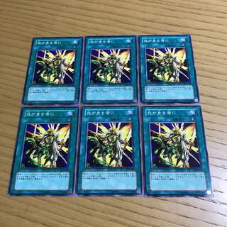 我が身を盾に　6枚セット