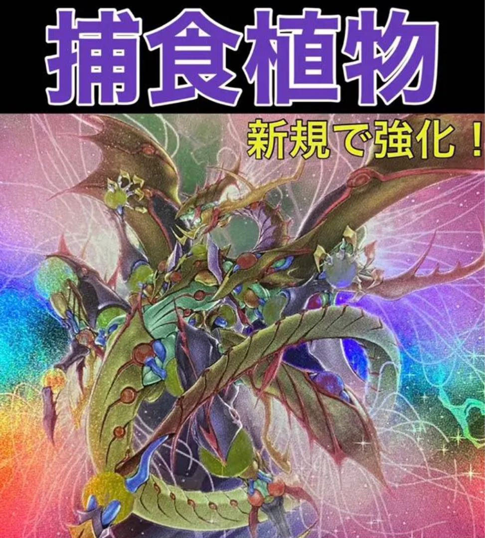 Yu-Gi-Oh Prey Upon Plant Deck Predator Plants 1枚