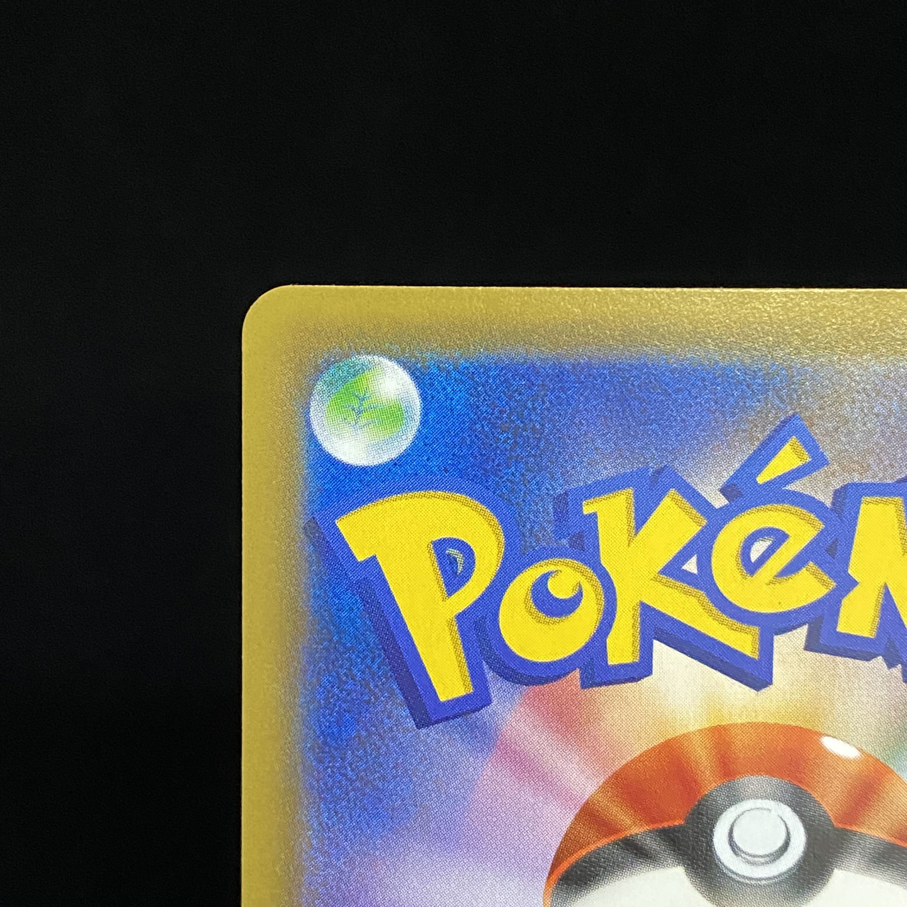 Erika's Hospitality SR 190/173