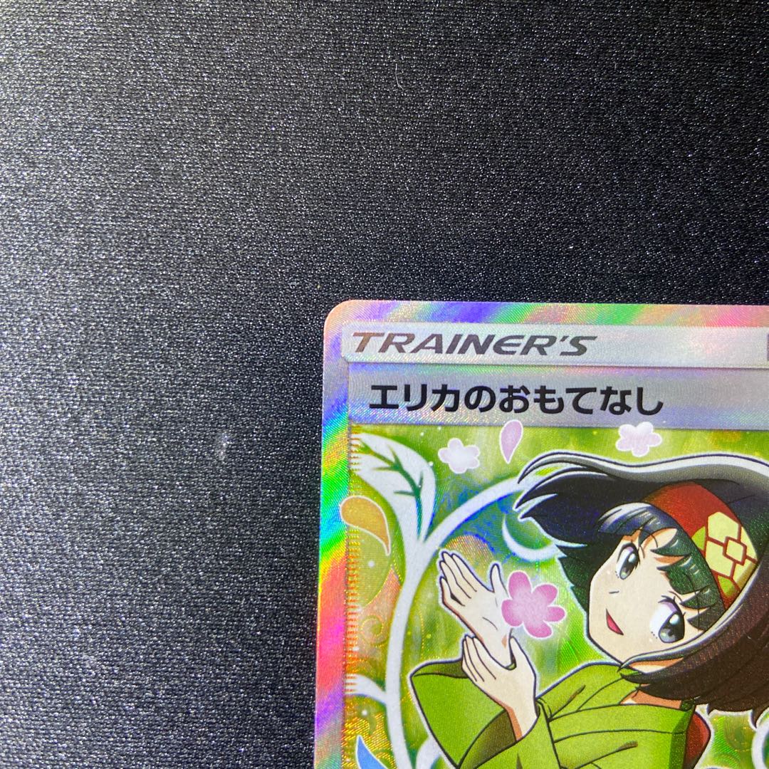 Erika's Hospitality SR 107/095