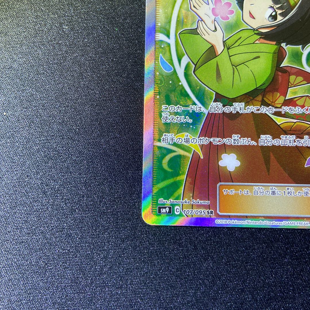 Erika's Hospitality SR 107/095