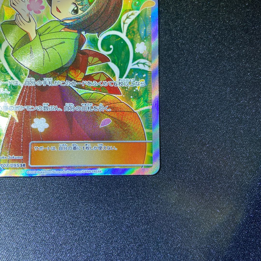 Erika's Hospitality SR 107/095