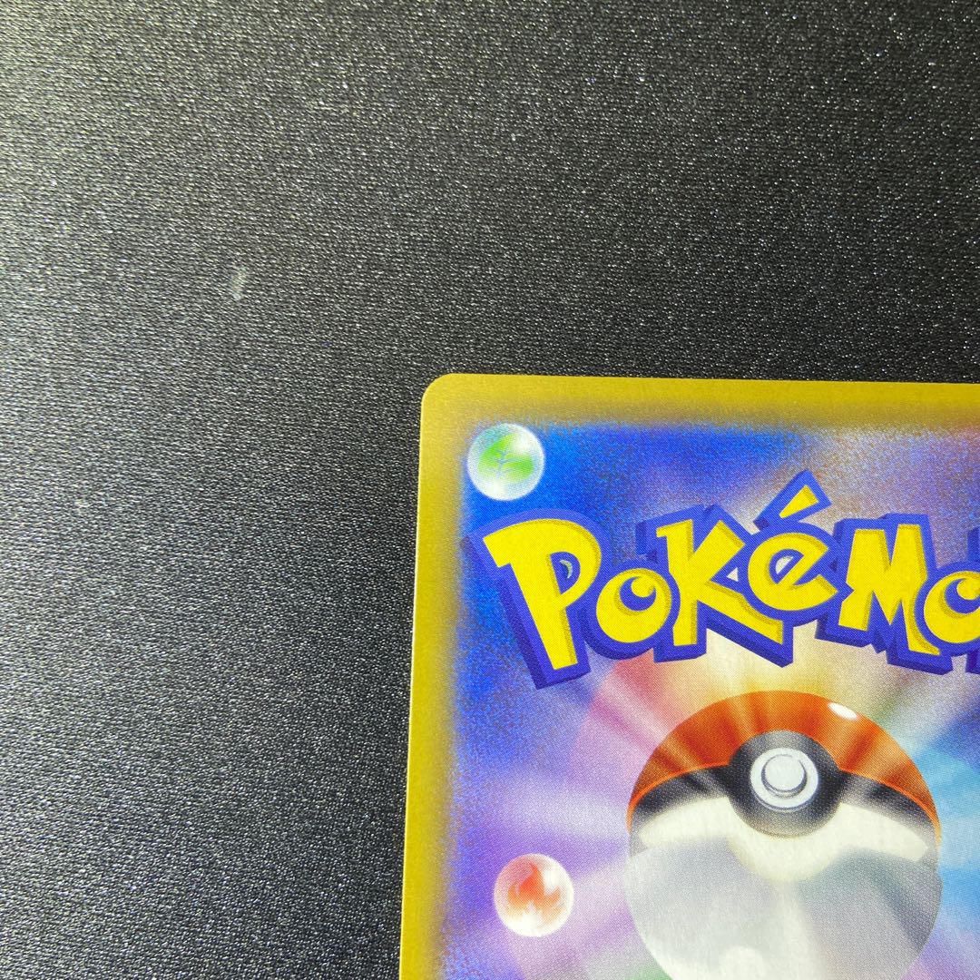 Erika's Hospitality SR 107/095