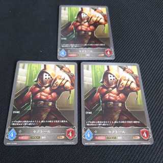 Sectol Set of 3 cards After Evolution Black Silver Bahamut Slate Warrior Ral