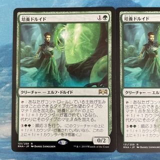 MTG 2 cards Incubation Druid