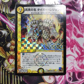 真実の名タイガーレジェンド