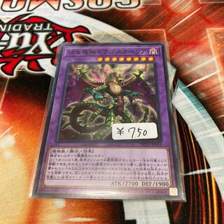 Predaplant Dragostapelia Normal 1 piece