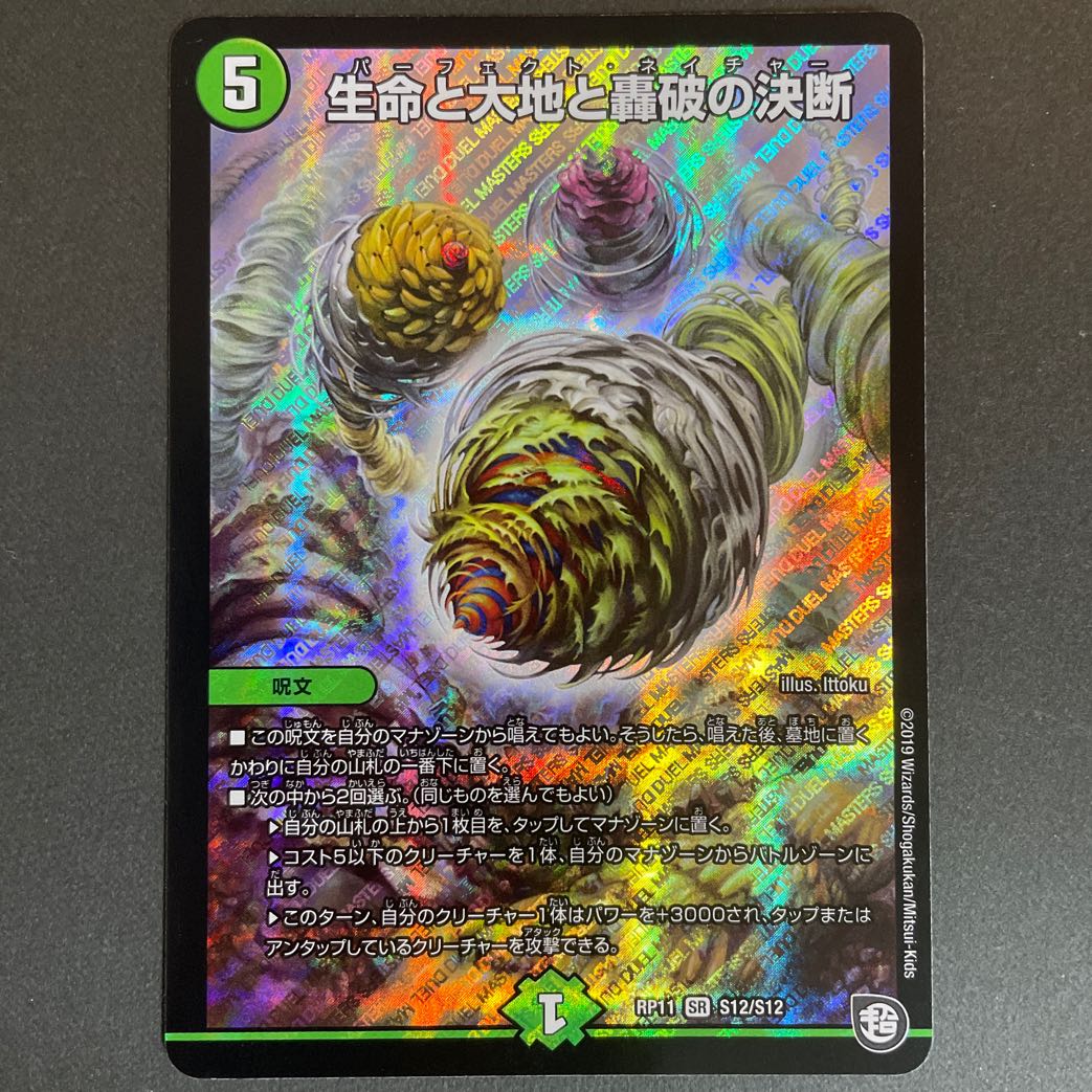 Life Life, Earth and Roaring Decision SR S12/S12