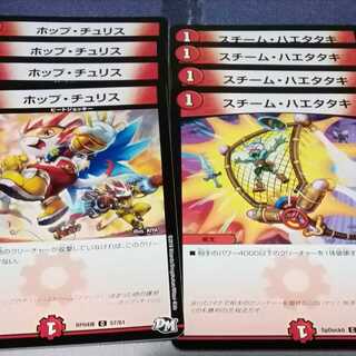 ホップチュリス　４枚　スチームハエタタキ　４枚　