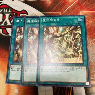 Secret Village of the Spellcasters Normal 3-card special