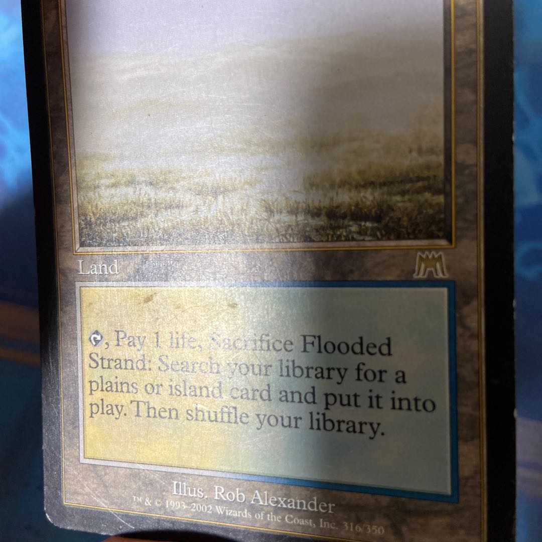 Exclusive for 376930977] Flooded Strand Rare 316/350