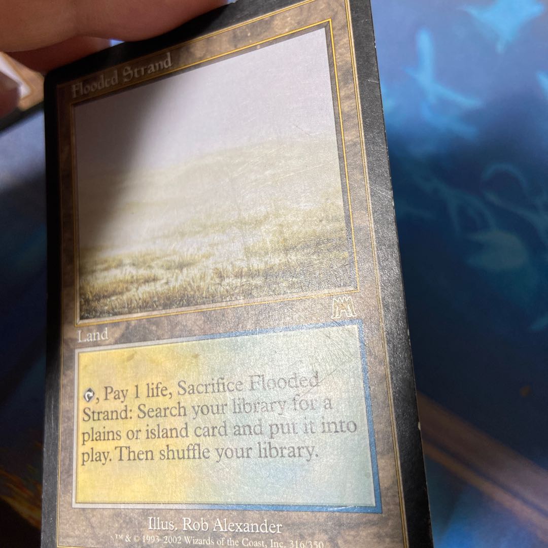 Exclusive for 376930977] Flooded Strand Rare 316/350