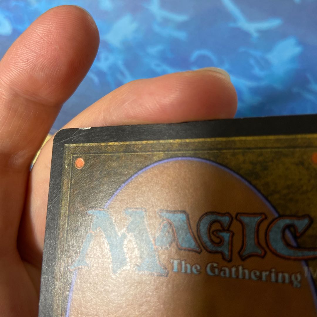 Exclusive for 376930977] Flooded Strand Rare 316/350